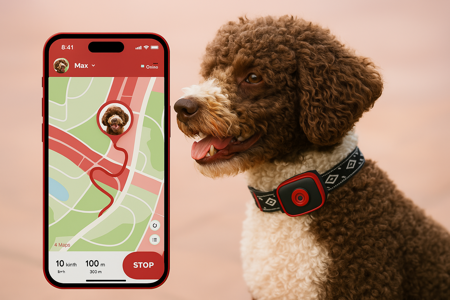 NordPaw Dog GPS
