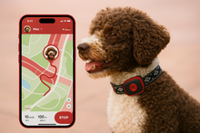Load image into Gallery viewer, NordPaw Dog GPS
